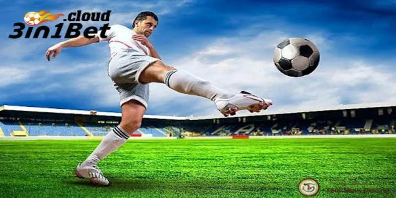 Thể Thao 3IN1BET - Trải Nghiệm Cá Cược Hấp Dẫn, An Toàn 4 Nhiều sảnh cược thể thao 3IN1BET uy tín